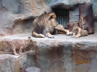 IMG_2040.jpg, 25kB